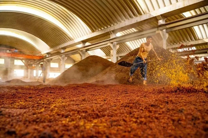 微信圖片_20221201143943_副本.jpg 微信圖片_20221201143943_副本.jpg